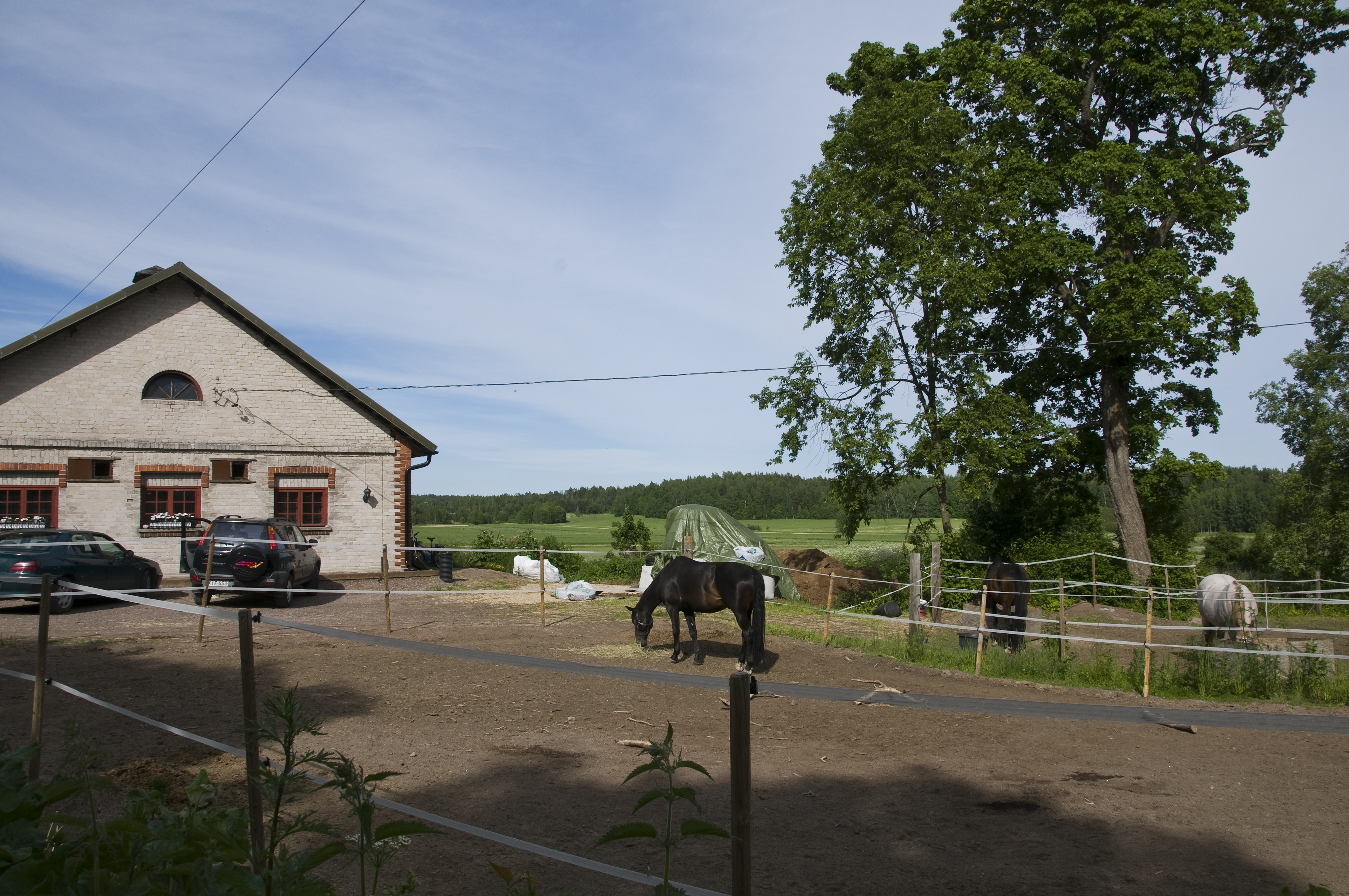 Hevonen Karlvik Ranchilla